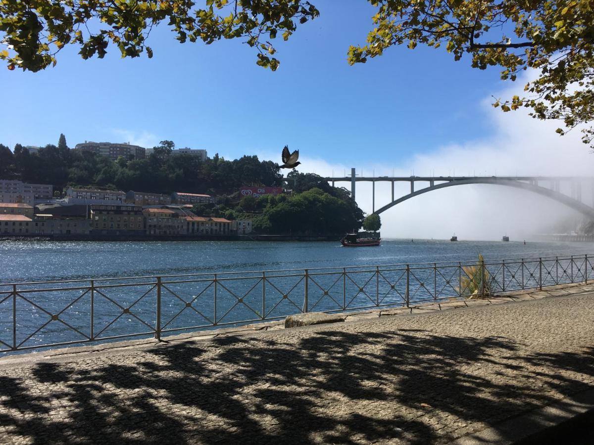 Loveporto Varanda/Jardim@C.Hist Kültér fotó